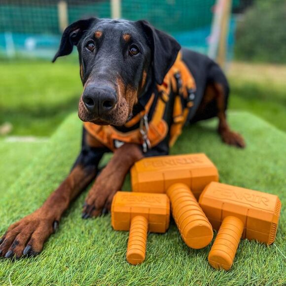 Fenrir Dog Chew Toy Hammer Chew Toy Medium Orange - Picture 6 of 7